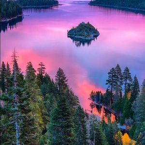 Meet your Posher, Wendy